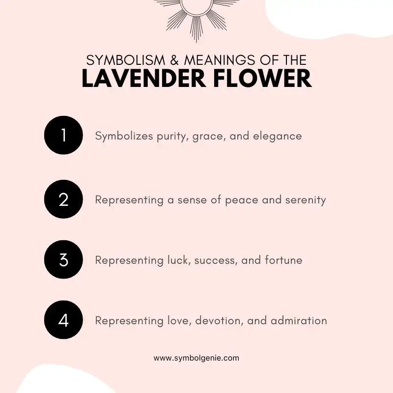 lavender flower symbolism