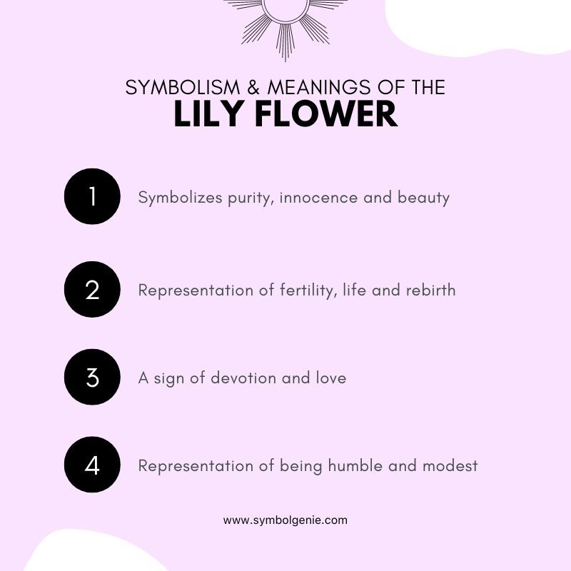lily flower symbolism