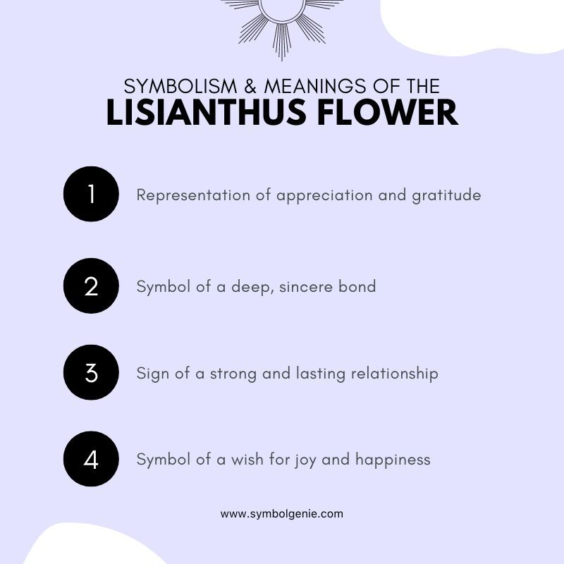Lisianthus Flower symbolism
