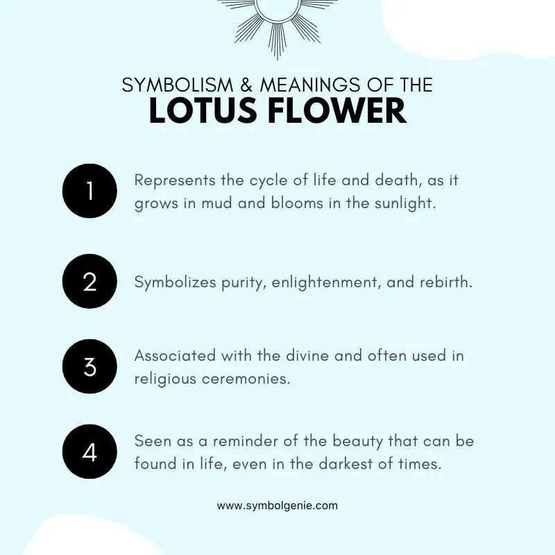 lotus flower symbolism