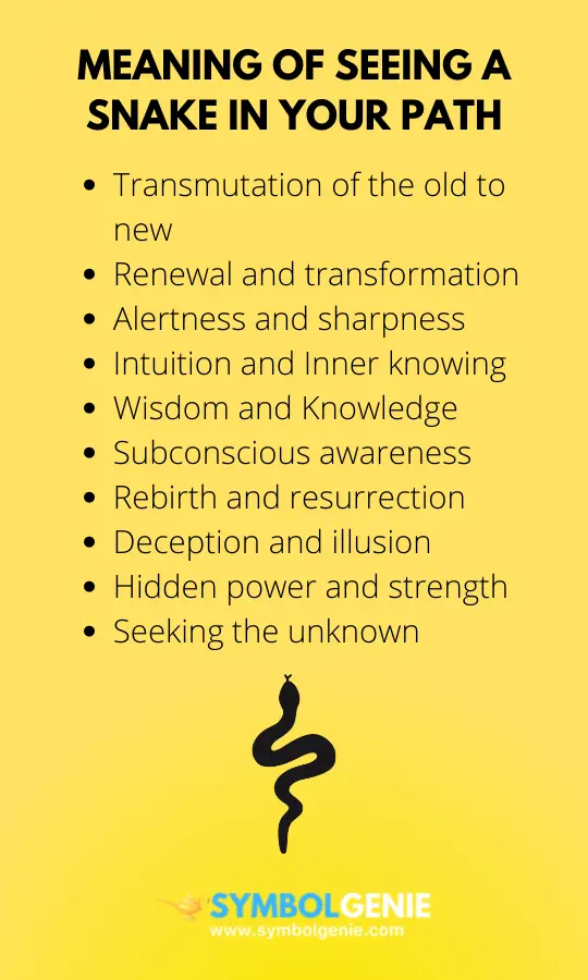 meaning of seeing a snake infographic