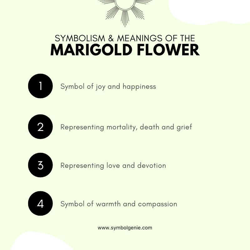 marigold flower symbolism