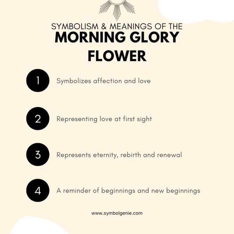 Morning Glory Flower Symbolism, Meanings, and History Symbol Genie