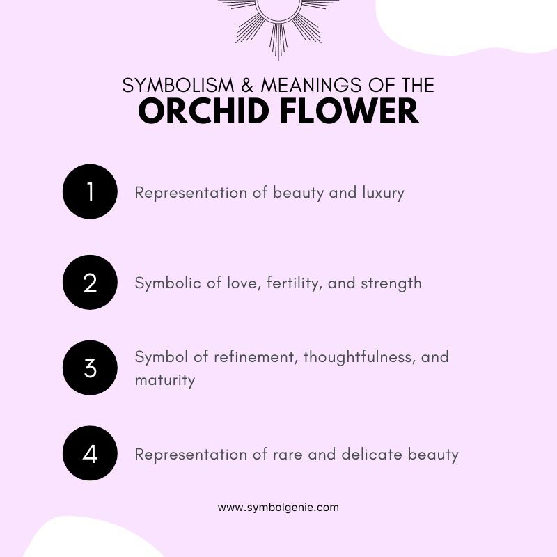 orchid flower symbolism