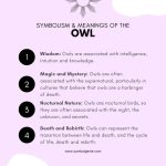 Owl: Symbolism, Meanings, and History - Symbol Genie