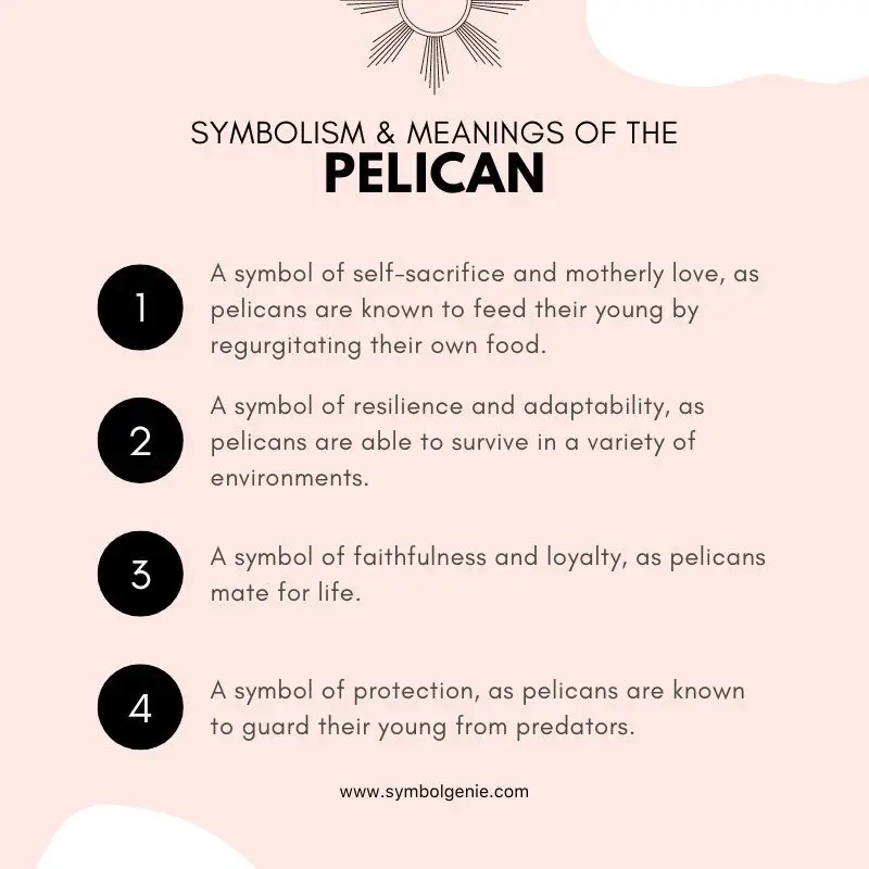 pelican dream meaning