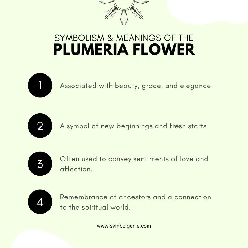 plumeria flower symbolism
