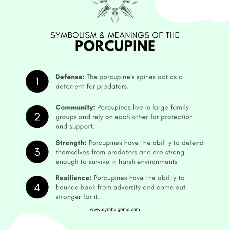porcupine symbolism