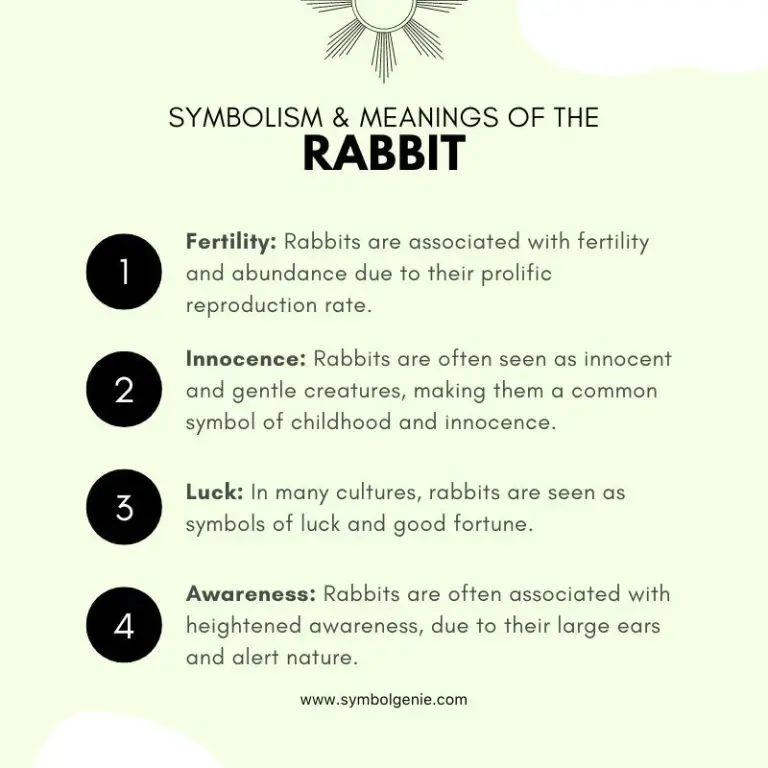 Rabbit Rabbit symbolism and meanings Symbol Genie