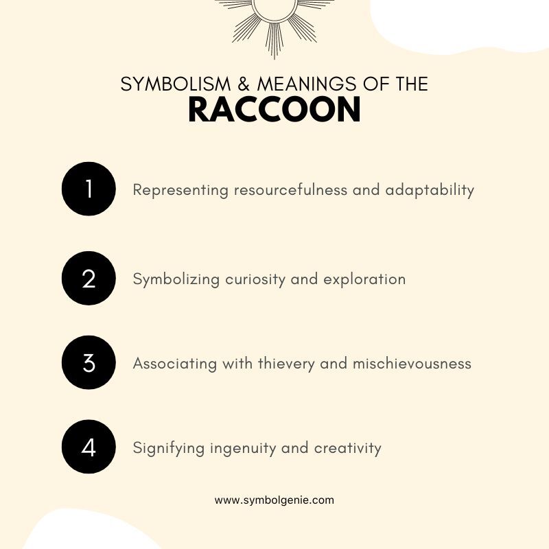raccoon symbolism