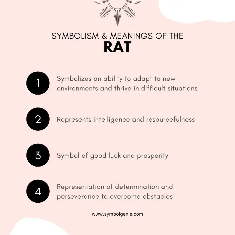 rat symbolism