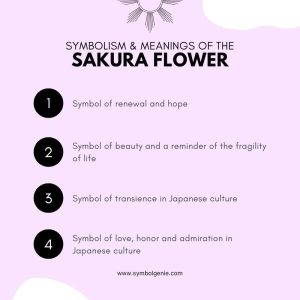 Sakura Flower: Symbolism, Meanings, and History - Symbol Genie