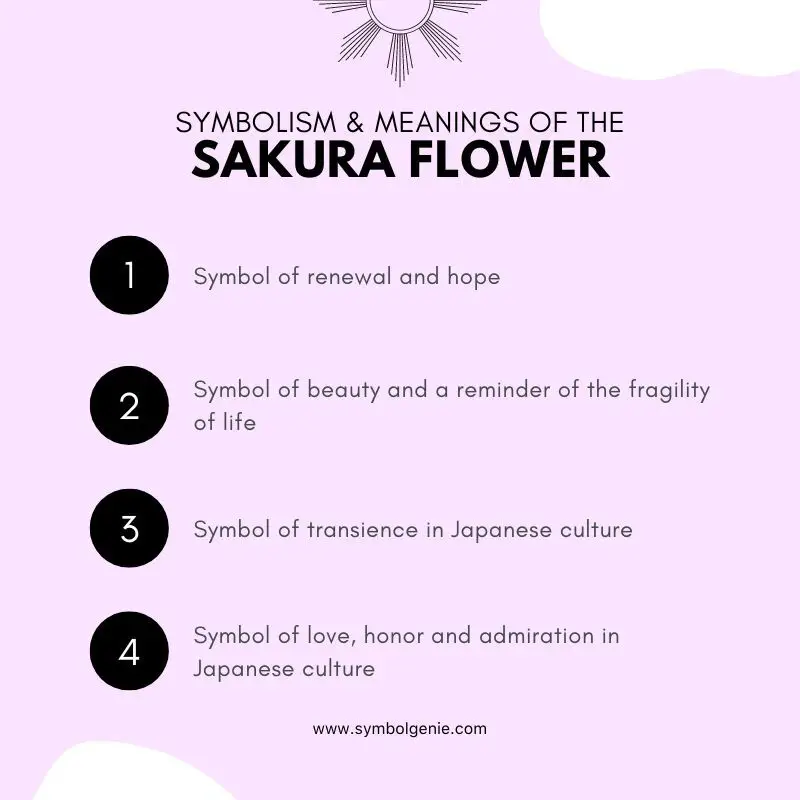sakura flower symbolism