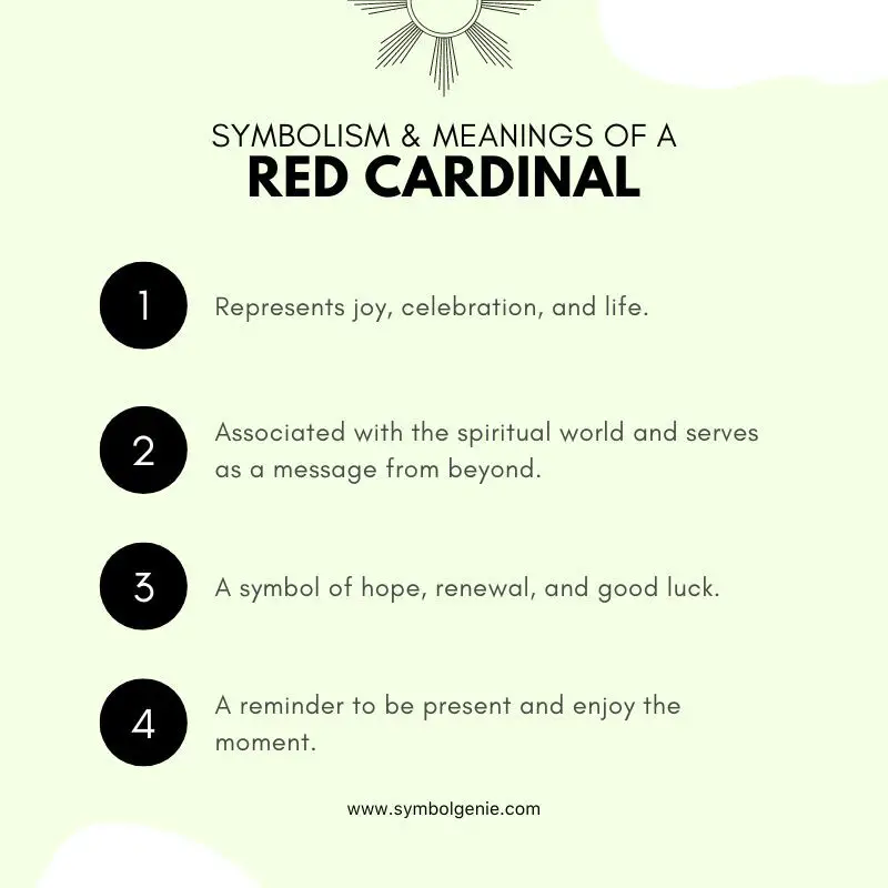 what-does-a-red-cardinal-symbolize-symbol-genie