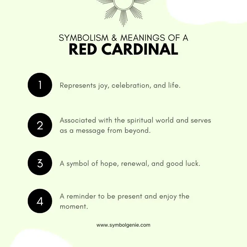 red cardinal