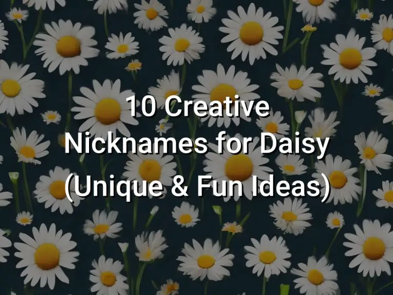 10 Creative Nicknames for Daisy (Unique & Fun Ideas)