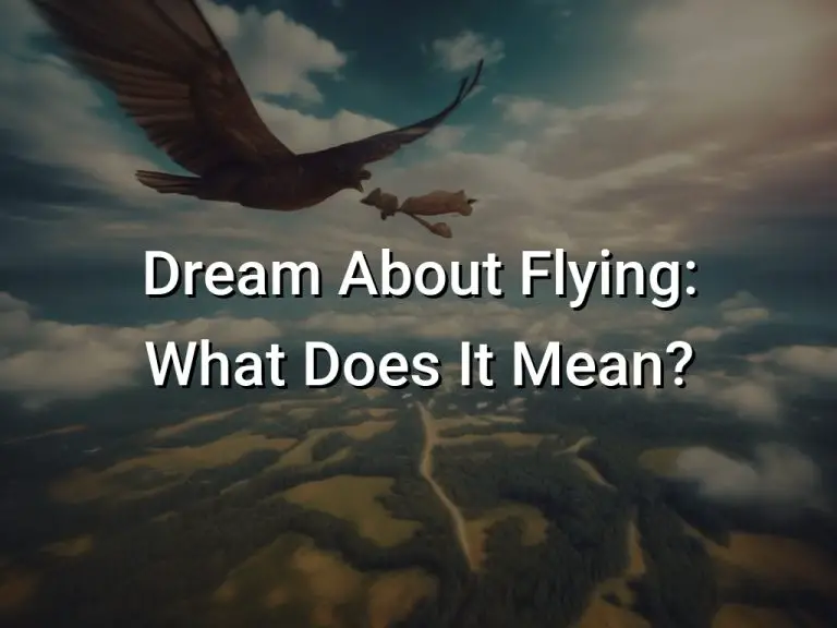 Dream About Flying (What Does It Mean)
