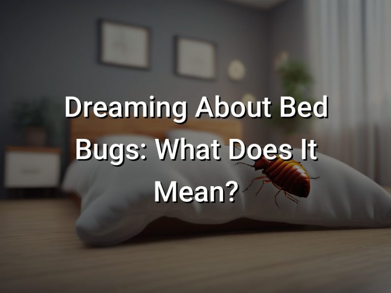 Dreaming About Bed Bugs What Does It Mean? Symbol Genie