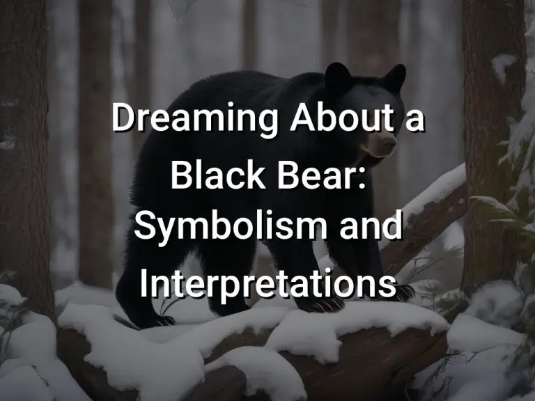 Dreaming About a Black Bear Symbolism and Interpretations Symbol Genie