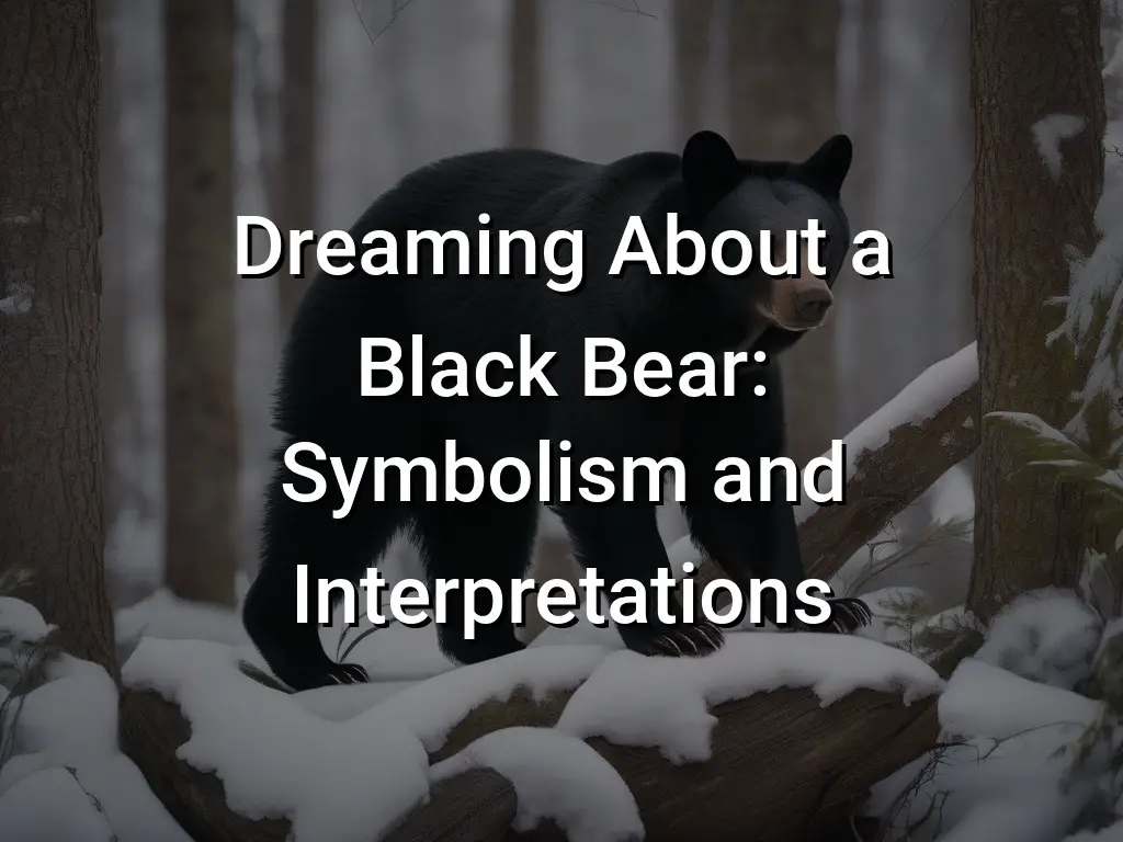 Mystery of Dreaming About a Black Bear