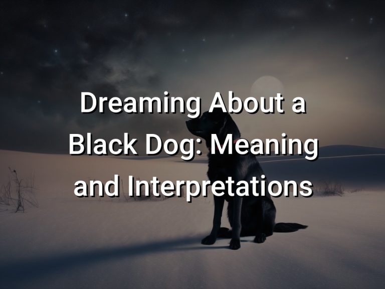 Dreaming About a Black Dog Meaning and Interpretations Symbol Genie