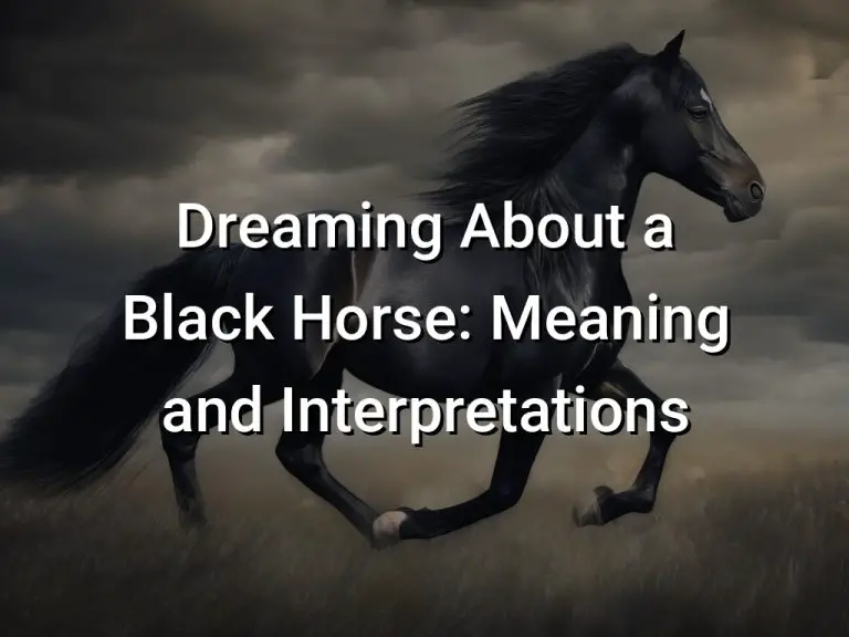 dreaming-about-a-black-horse-meaning-and-interpretations-symbol-genie