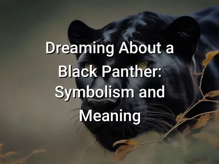 Dreaming About a Black Panther Symbolism and Meaning Symbol Genie