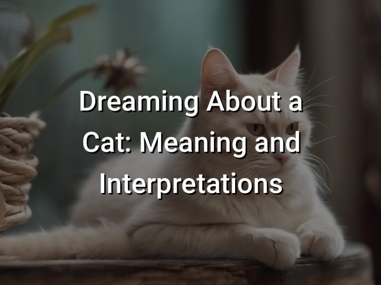 Dreaming About a Cat Meaning and Interpretations Symbol Genie