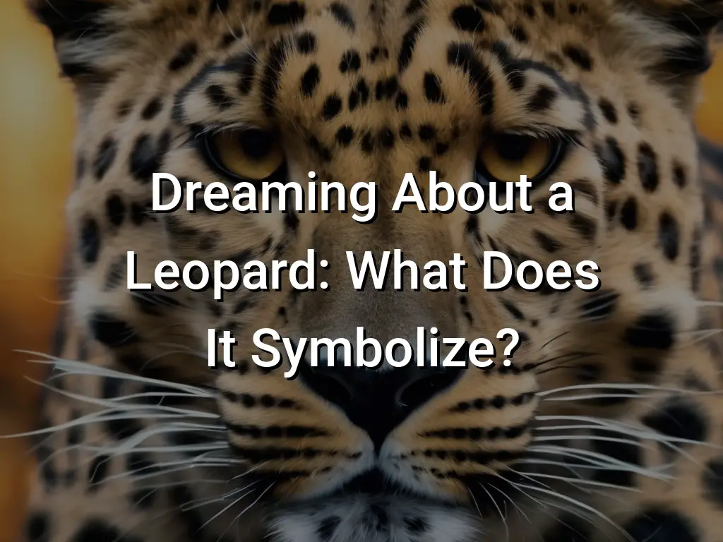 Dreaming About a Leopard: What Does It Symbolize? - Symbol Genie