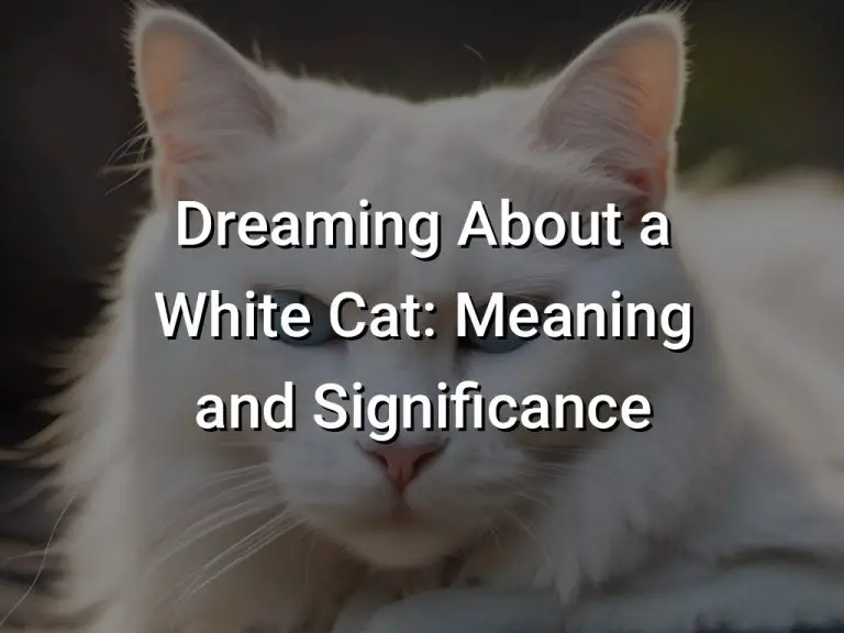 Dreaming About a White Cat Meaning and Significance Symbol Genie