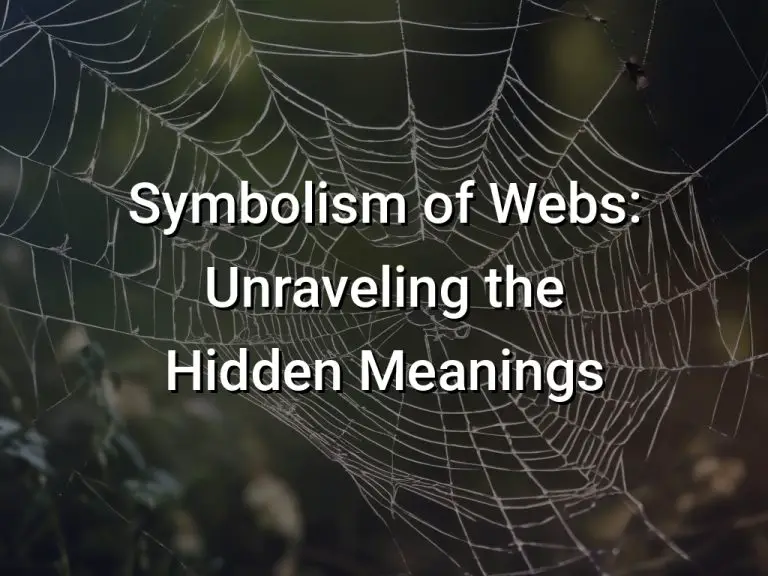 Symbolism of Webs Unraveling the Hidden Meanings