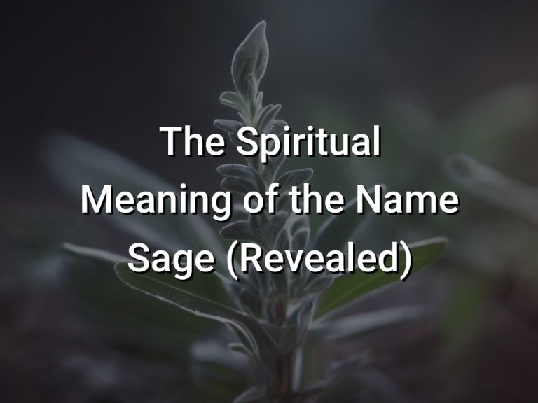 The Spiritual Meaning of the Name Sage (Revealed) Symbol Genie