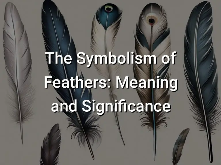 The Symbolism of Feathers Meaning and Significance Symbol Genie