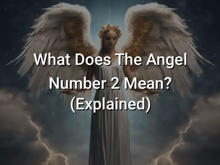 What Does The Angel Number 2 Mean? (Explained)
