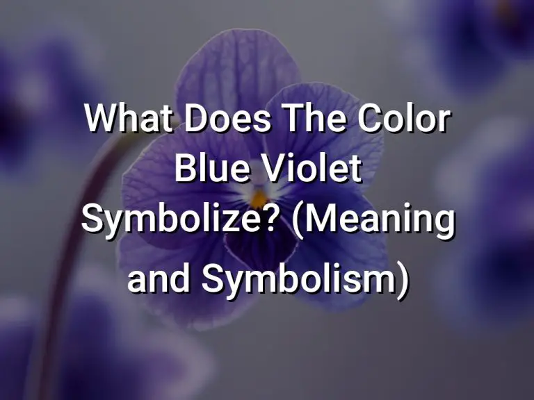 What Does The Color Blue Violet Symbolize (Meaning and Symbolism ...