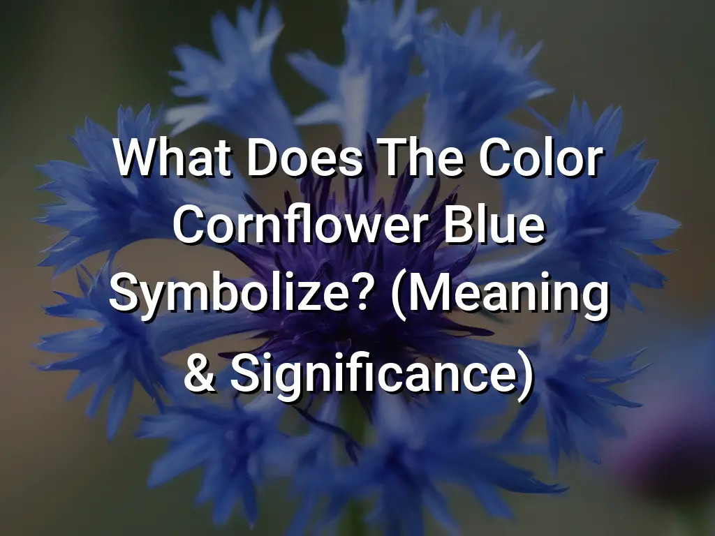 What Does The Color Cornflower Blue Symbolize (Meaning Significance ...