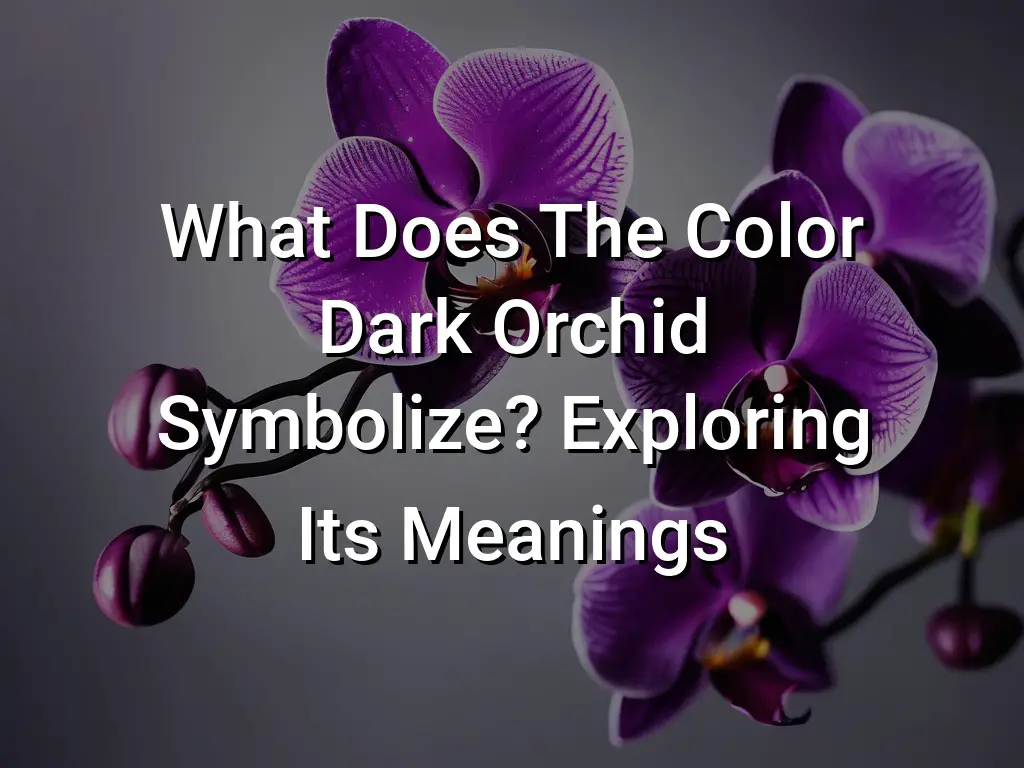 What Does The Color Dark Orchid Symbolize Exploring Its Meanings ...