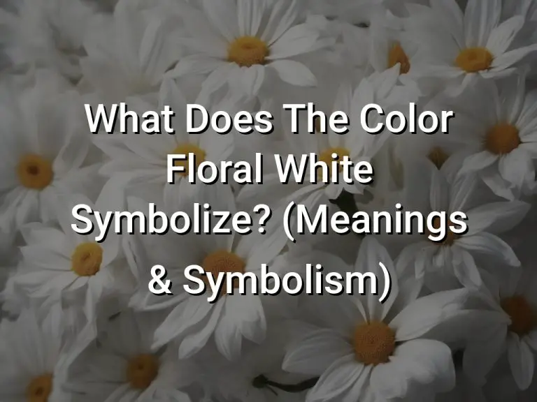 What Does The Color Floral White Symbolize (Meanings  Symbolism)