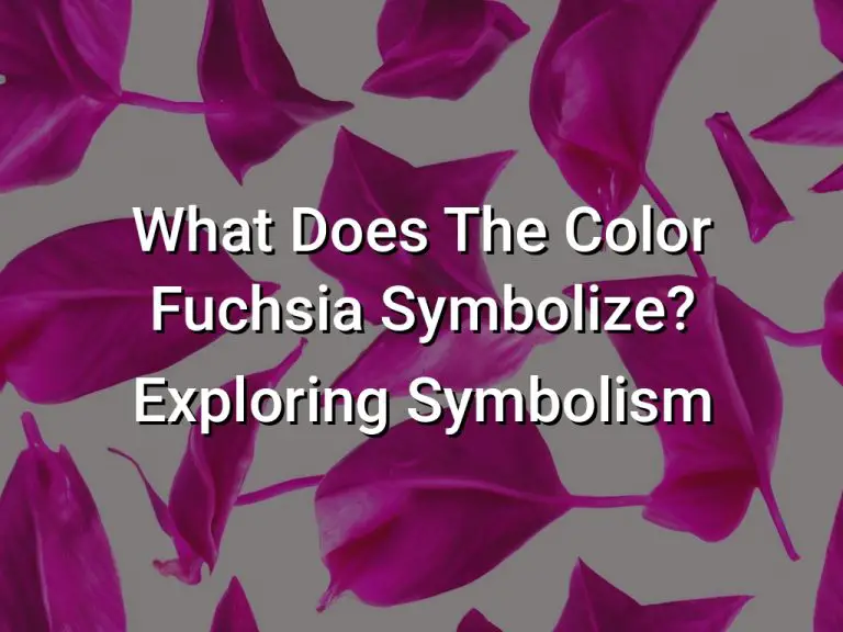 What Does The Color Fuchsia Symbolize Exploring Symbolism
