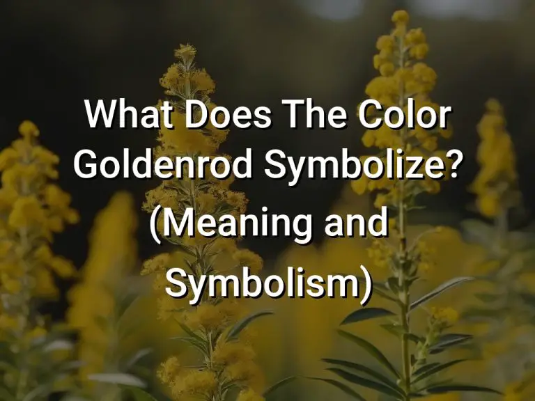 What Does The Color Goldenrod Symbolize (Meaning and Symbolism)