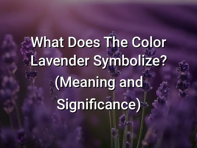 What Does The Color Lavender Symbolize (Meaning and Significance)