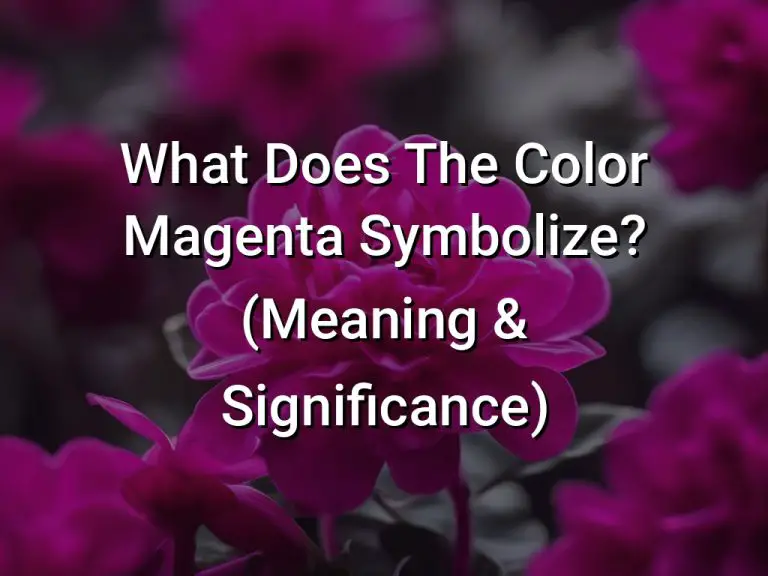 What Does The Color Magenta Symbolize (Meaning  Significance)
