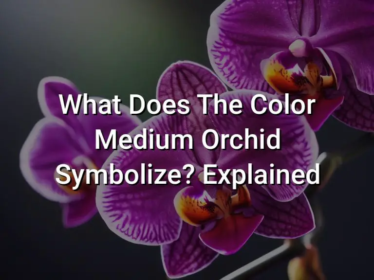 What Does The Color Medium Orchid Symbolize (Explained)