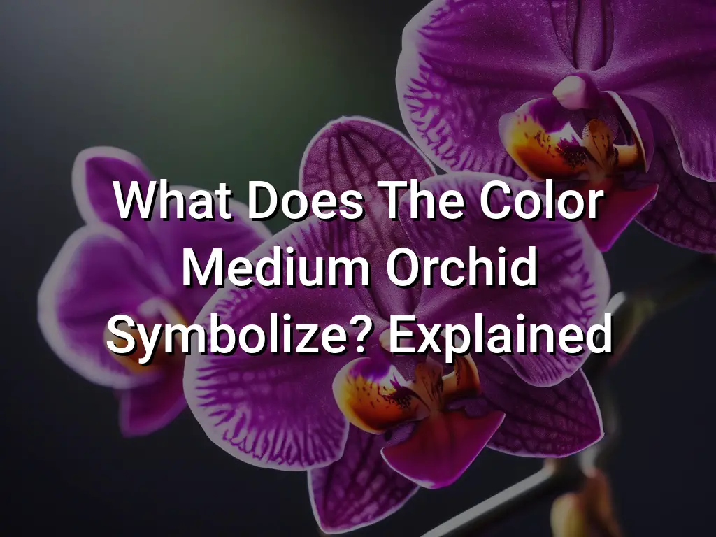 What Does The Color Medium Orchid Symbolize (Explained) - Symbol Genie