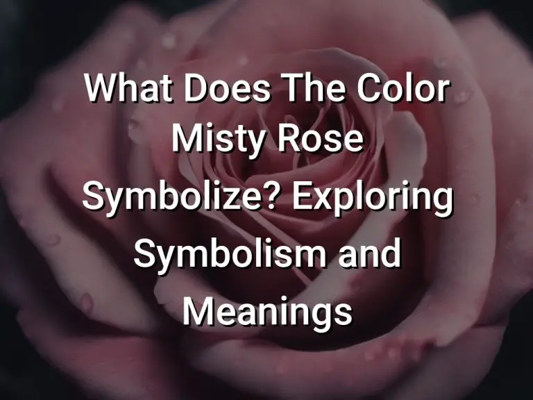 What Does The Color Misty Rose Symbolize Exploring Symbolism and Meanings