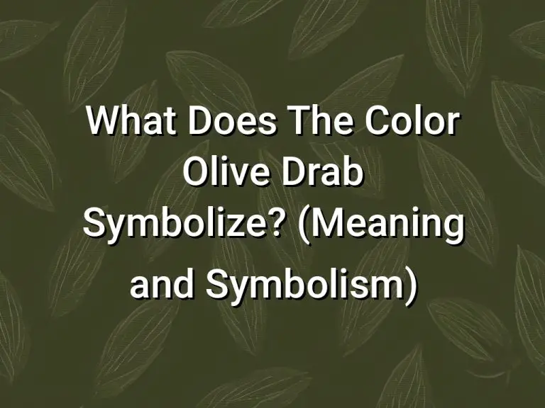 What Does The Color Olive Drab Symbolize (Meaning and Symbolism)