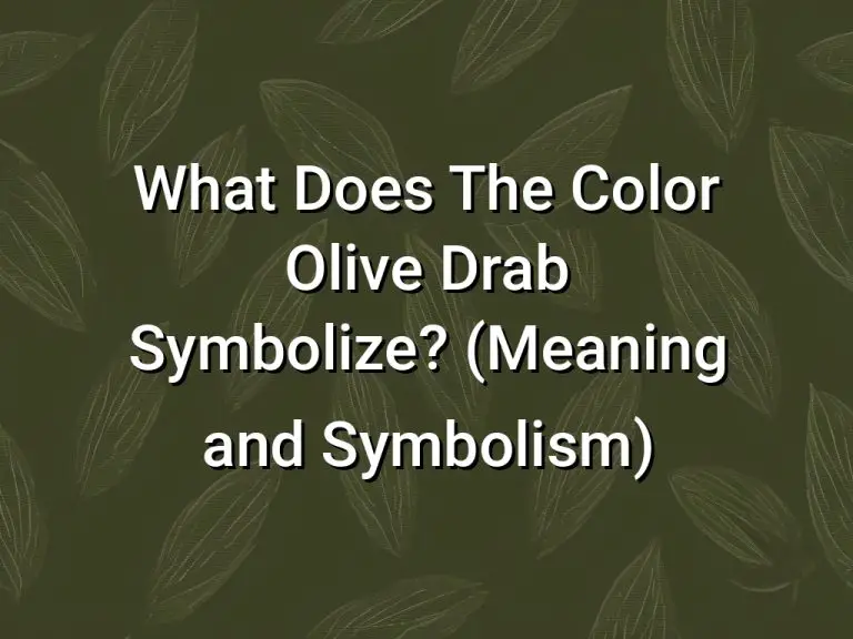 What Does The Color Olive Drab Symbolize (Meaning and Symbolism