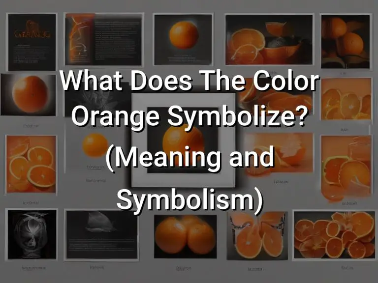 What Does The Color Orange Symbolize (Meaning and Symbolism)