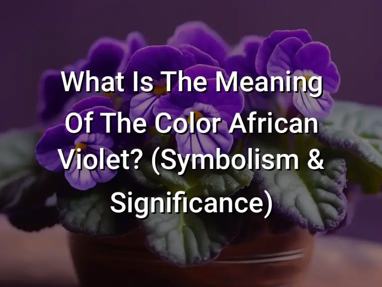 What Is The Meaning Of The Color African Violet? (Symbolism & Significance)
