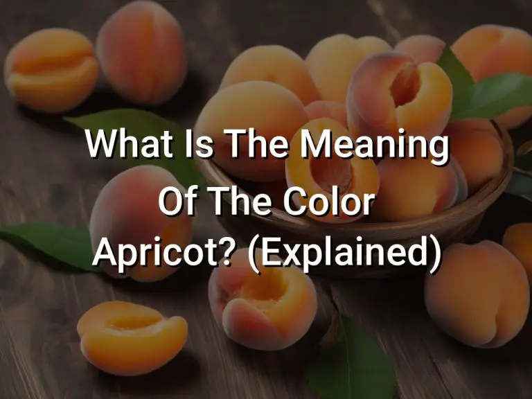 What Is The Meaning Of The Color Apricot? (Explained)